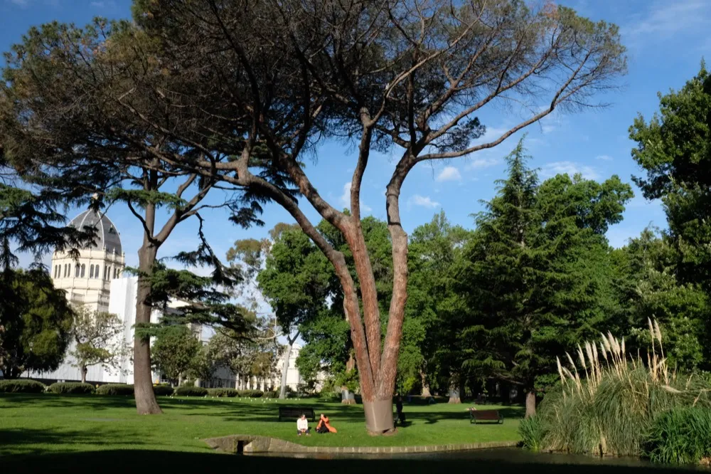 Carlton Gardens pond and Royal Exhibition Building